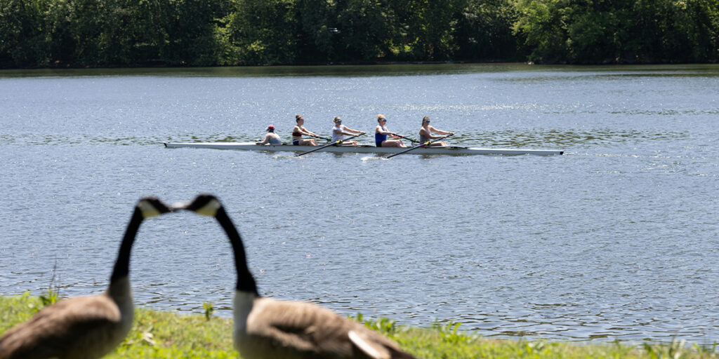 Oordoppen voor Roeien CTA block